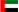 Language Flag